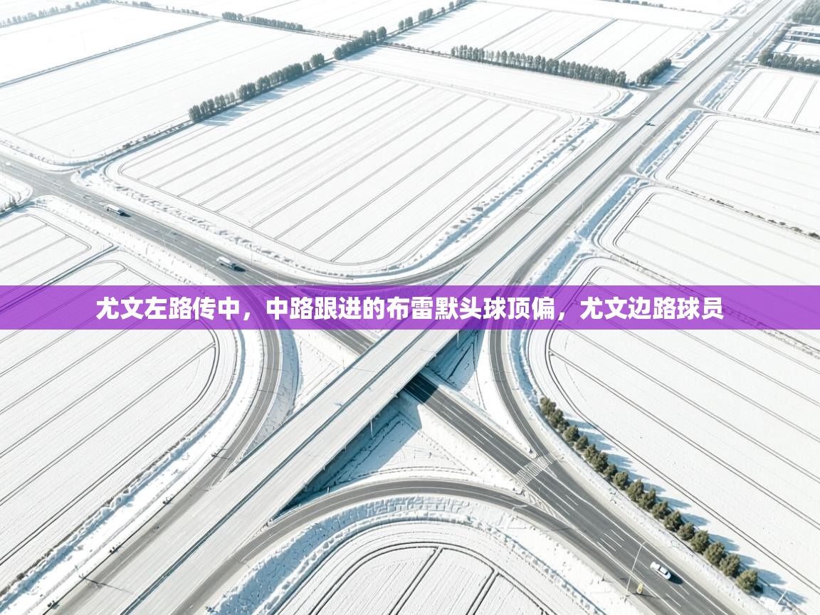 开云体育多语言中文版-尤文左路传中,中路跟进的布雷默头球顶偏,尤文边路球员 第3张