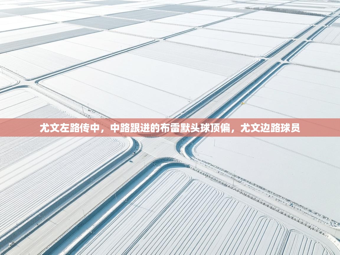 开云体育多语言中文版-尤文左路传中,中路跟进的布雷默头球顶偏,尤文边路球员 第4张