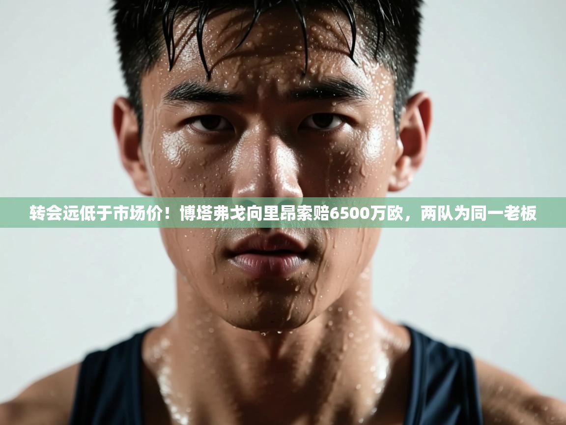 开云体育VIP权益说明-转会远低于市场价!博塔弗戈向里昂索赔6500万欧,两队为同一老板 第2张