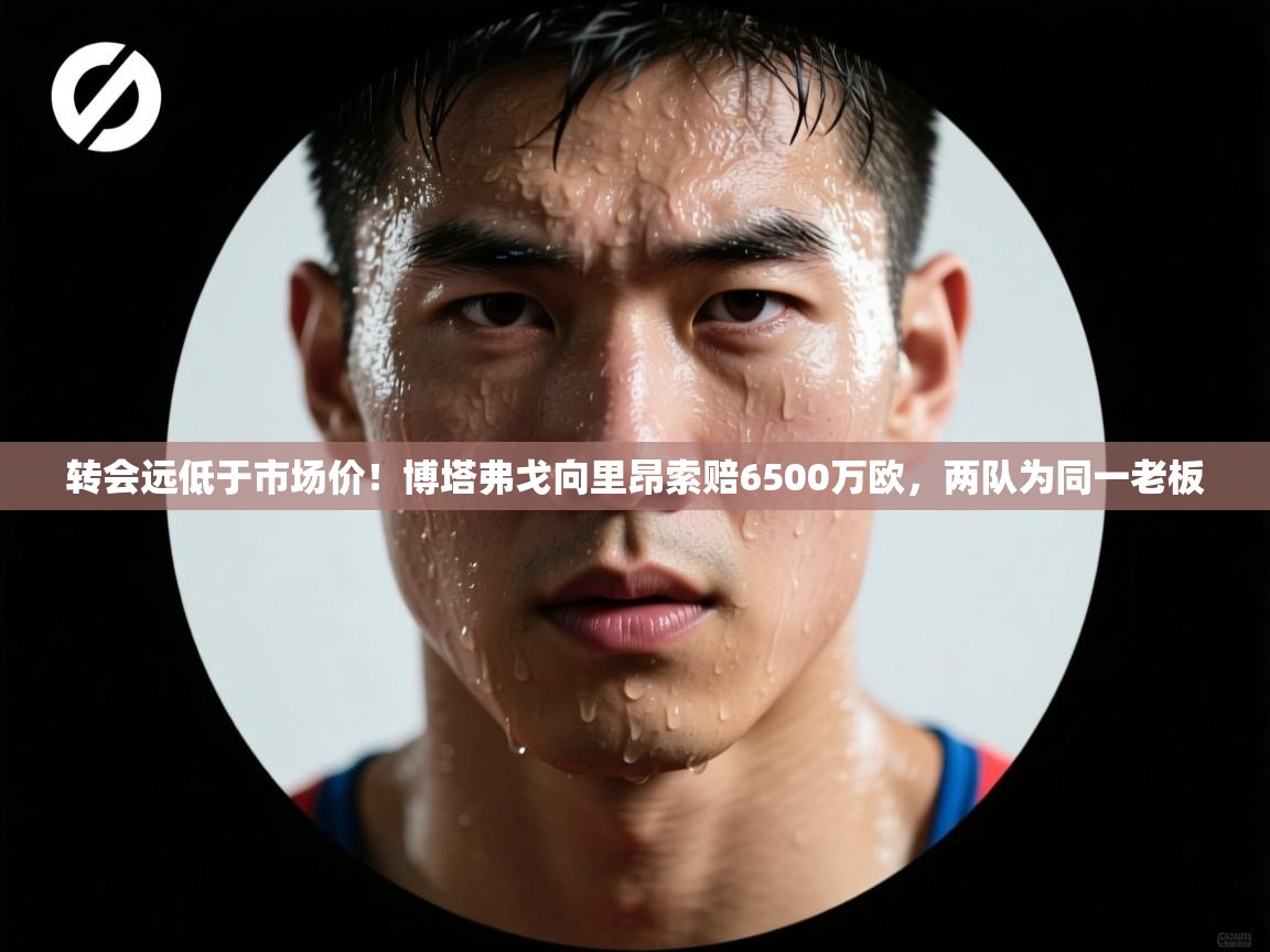 开云体育VIP权益说明-转会远低于市场价!博塔弗戈向里昂索赔6500万欧,两队为同一老板 第3张