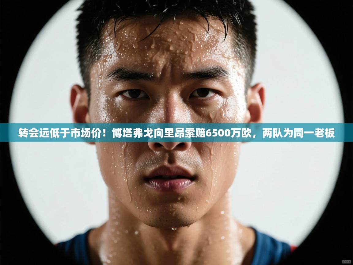 开云体育VIP权益说明-转会远低于市场价!博塔弗戈向里昂索赔6500万欧,两队为同一老板 第4张