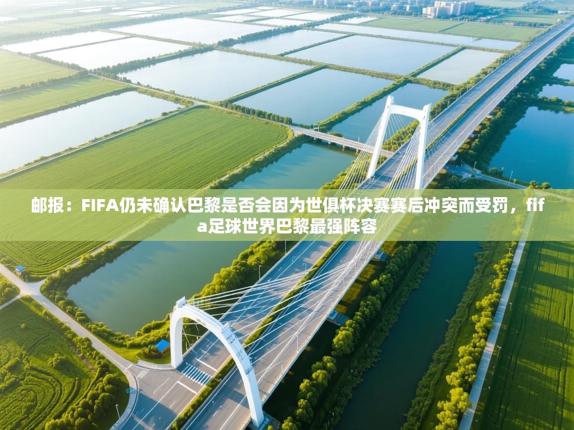 开云体育app下载-邮报：FIFA仍未确认巴黎是否会因为世俱杯决赛赛后冲突而受罚，fifa足球世界巴黎最强阵容  第4张