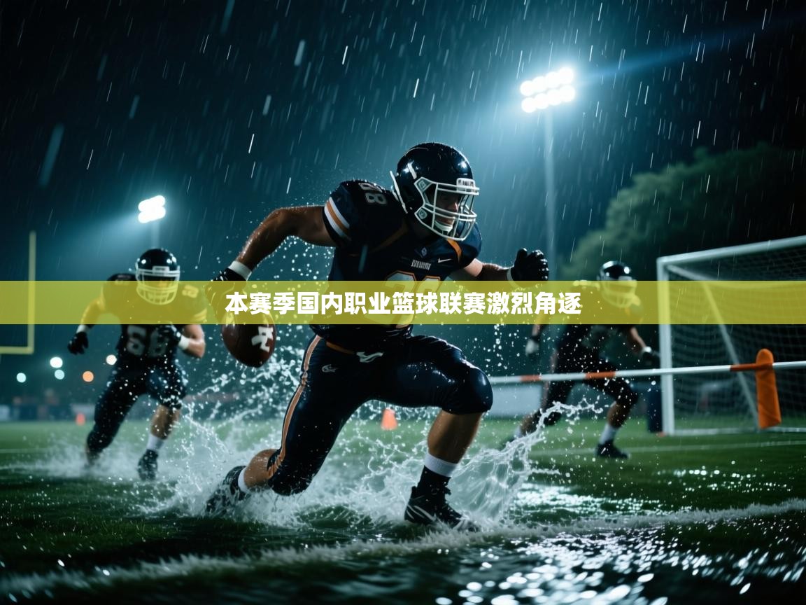 开云体育安装失败怎么办-本赛季国内职业篮球联赛激烈角逐  第2张