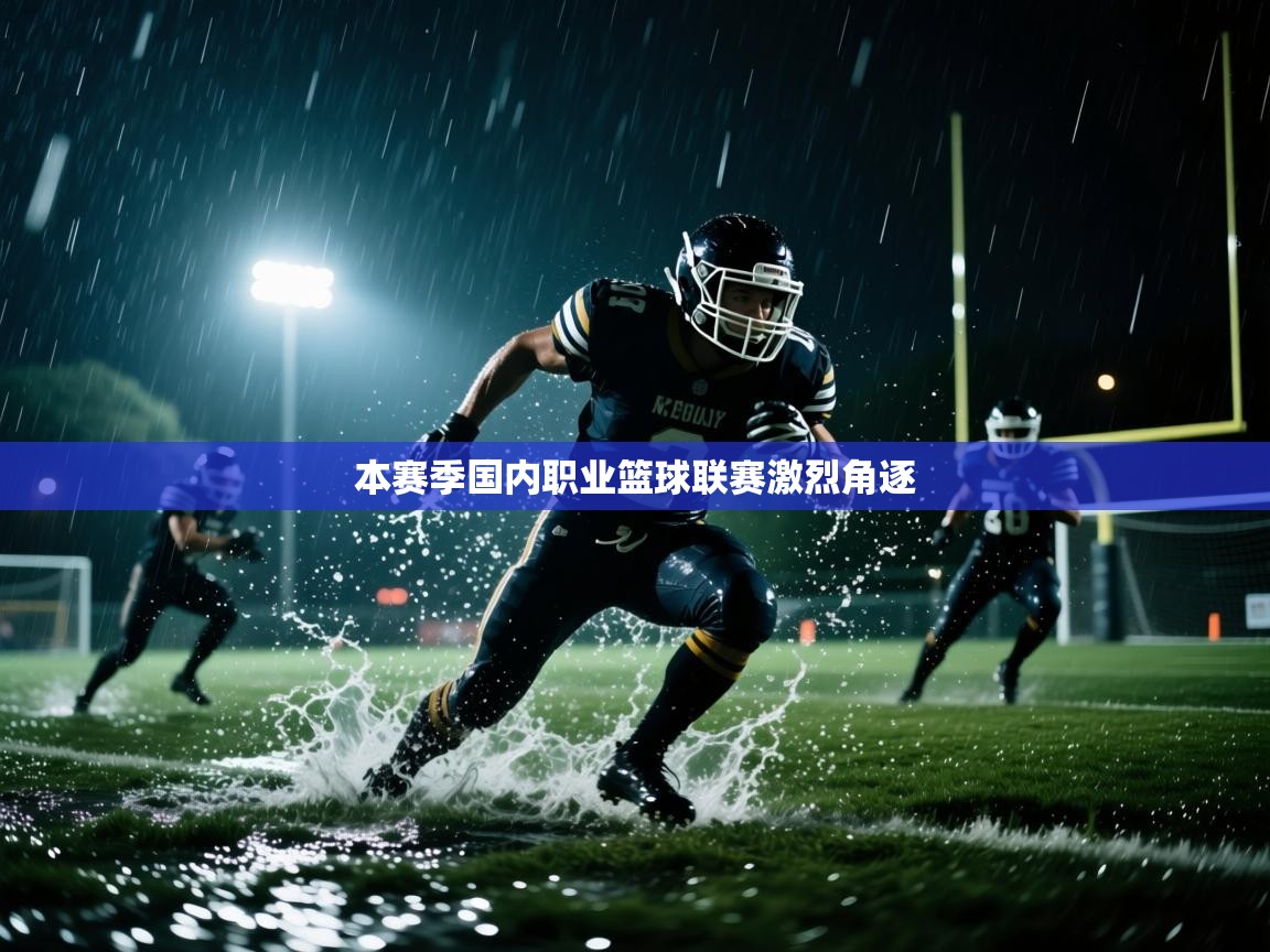 开云体育安装失败怎么办-本赛季国内职业篮球联赛激烈角逐  第4张