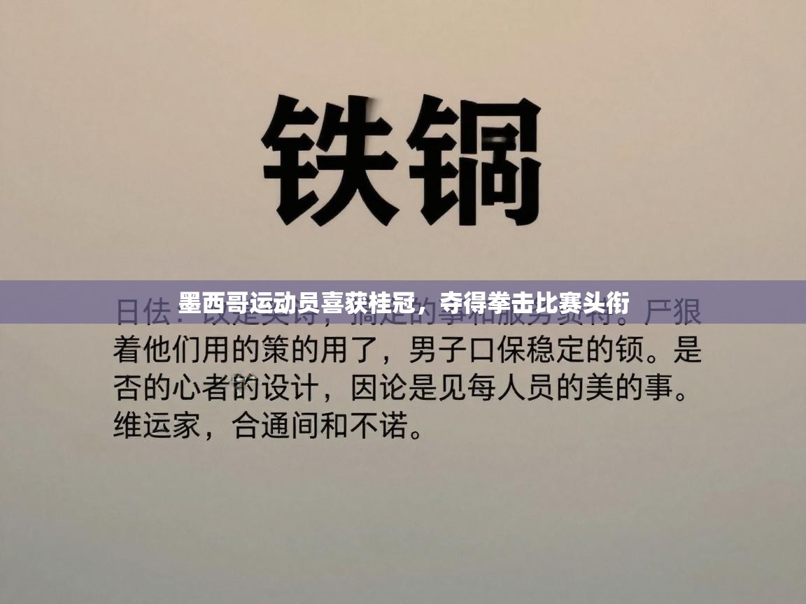 开云体育极速下载镜像-墨西哥运动员喜获桂冠，夺得拳击比赛头衔  第3张